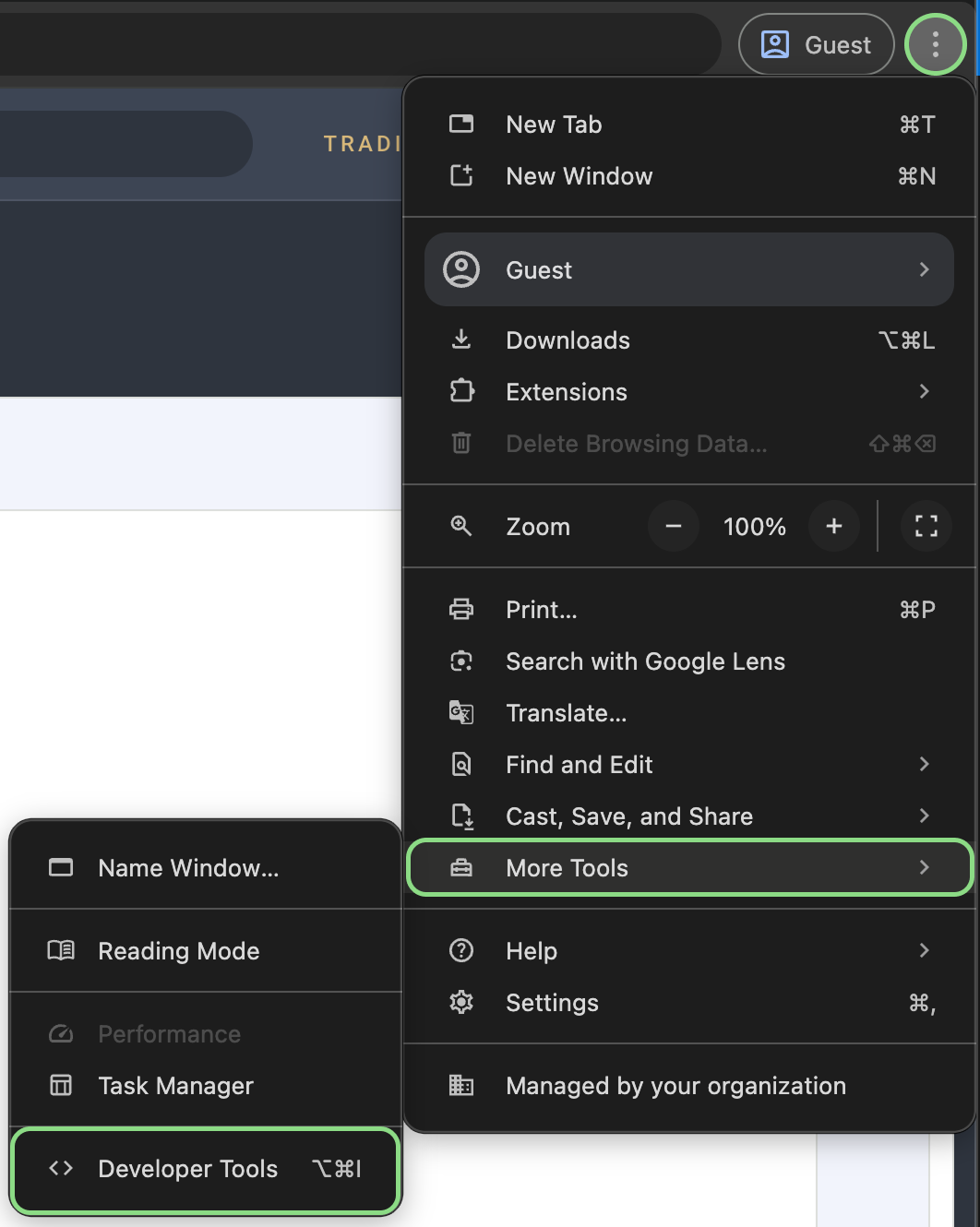 Developer Tools Settings